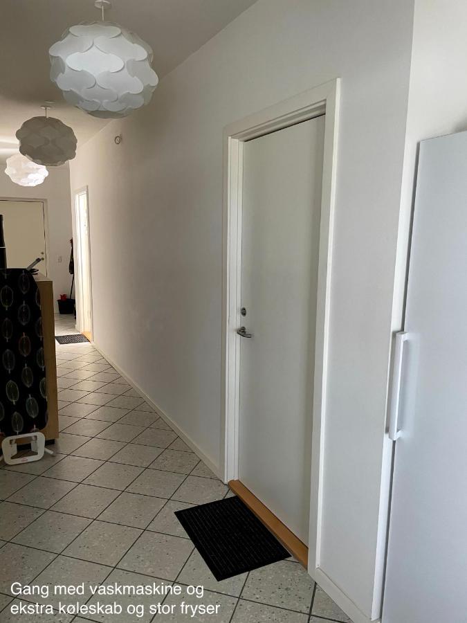Essenbaekgaard B&B Assentoft Zewnętrze zdjęcie